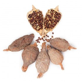 Poivre Maniguette (Poivre alligator entier) - Lot de 2